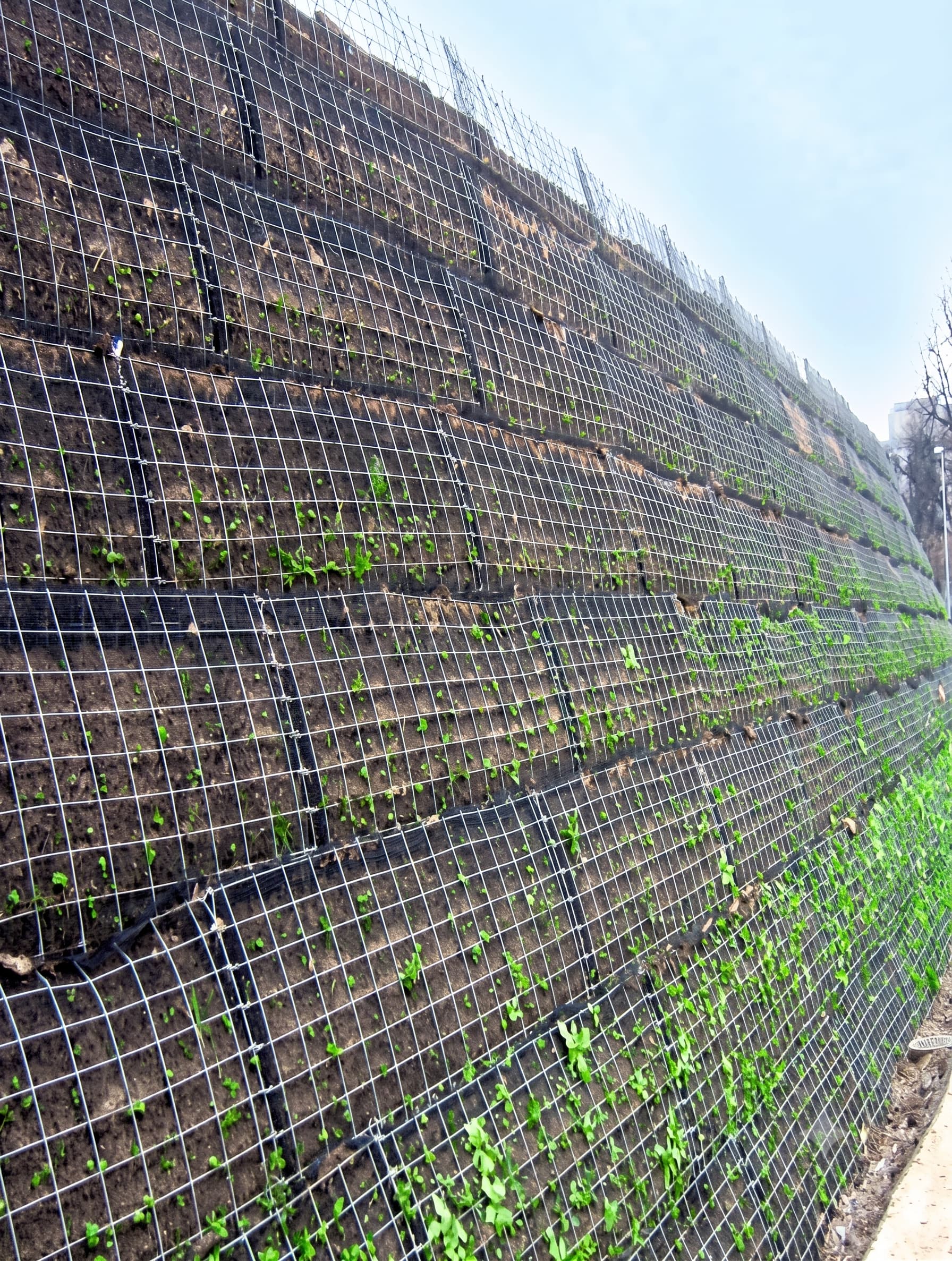 Biogeocomposite